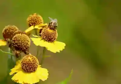 근로·자녀 장려금 신청방법과 자격요건 총정리