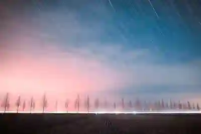 KT 멤버십으로 던킨도넛 무료 혜택 받는 꿀팁