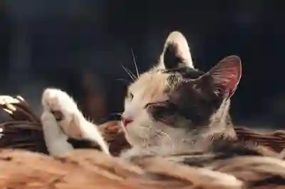 KT 콘텐츠페이로 첫 결제 0원 혜택 받는 방법 알아보자