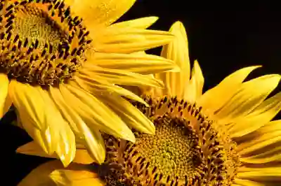 KT 포인트로 즐기는 밀리의 서재와 음악 서비스 살펴보자