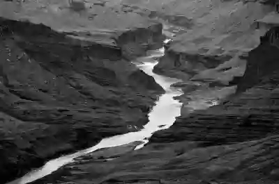 WebP 이미지 포맷의 장점과 효과적인 변환 방법 알아보자