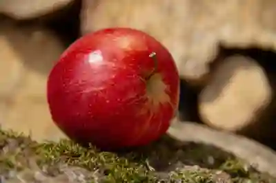 2025 민생회복 소비쿠폰 사용처 및 신청방법｜대상자 조회·발급일정·온라인 사용 가능 여부 안내