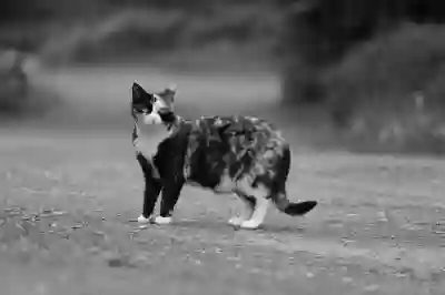 춘천 민생회복 소비쿠폰 지역별 차이|강원도 vs 서울 혜택·사용처·금액 비교