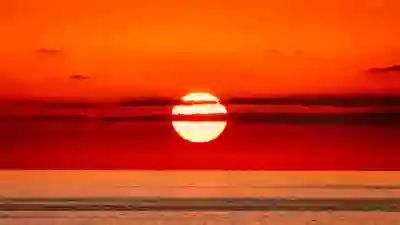 실시간 전기요금 조회 및 고객번호 확인방법 | 한전 홈페이지 · 앱으로 간편하게 확인하기