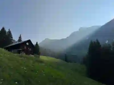 유전자 가위 관련주 분석 반드시 알고 가야 할 TOP10