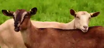 웹툰 모바일에서 연재 일정 확인하는 방법 완벽 가이드