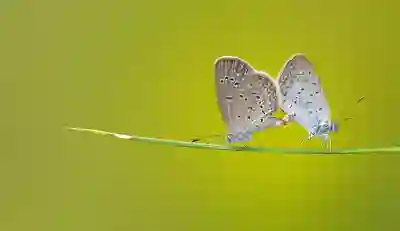 키크론 FAQ 블루투스 페어링 및 간섭 줄이기 팁