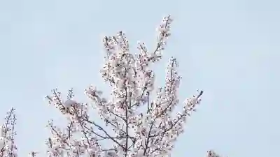 광주상생카드 발급 방법과 사용 가능 업종 안내