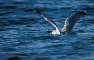 효율적인 이사를 위한 수도요금 정산 요령
