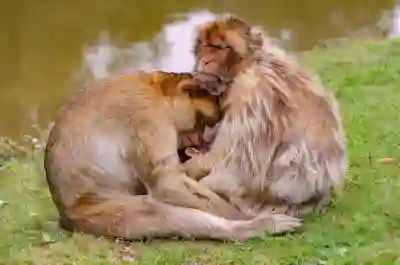 네이버 자동 로그인 해제로 계정 보안 강화하는 법