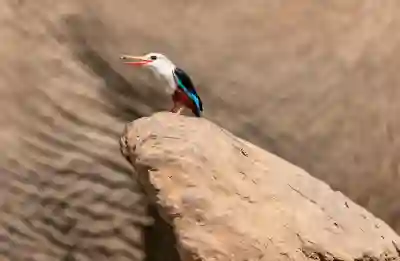 수도요금 자동이체 등록 방법 및 유의사항