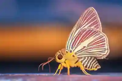 카카오톡에서 나만의 키워드 알림 설정하는 방법