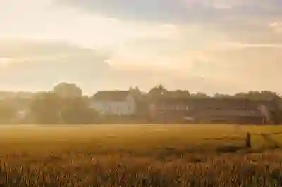 요기요 계정 탈퇴 후 재가입 시 유의사항 알아보기