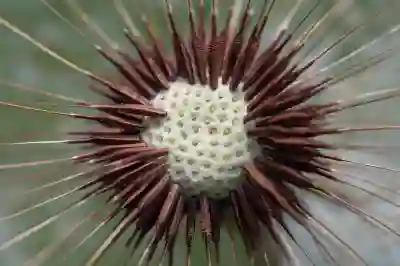 유튜브 시크릿 모드 쉽게 해제하는 방법: PC와 모바일 팁