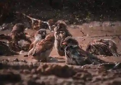 전기 및 수도요금 정산 이사 후 처리 방법