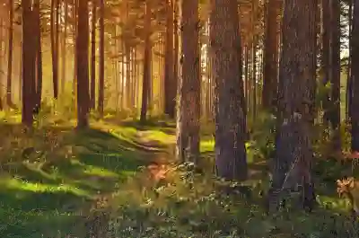 통학편의성 높이기 어린이집 경로 선택 전략