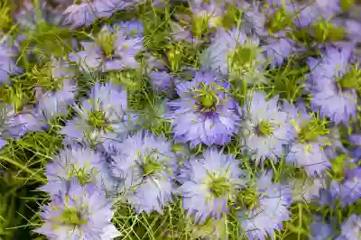 부산 임산부 콜택시 마미콜 이용 방법과 후기