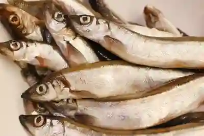 고령자 전용 임대주택 신청 자격 조건과 절차 알아보자