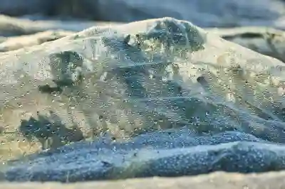 네이버 웹툰 리워드 프로그램 가입 방법과 혜택 알아보자