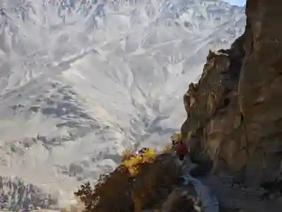 네이버 자동 로그인 해제 방법 알아보자