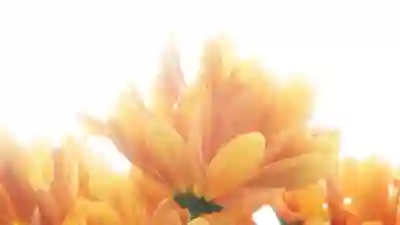 디지털 마케팅과 맞춤 도메인을 활용하는 성공적인 전략 살펴보기