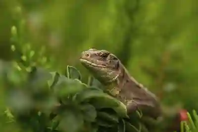 쏘렌토 오디오 시스템으로 차량 내 영화 감상 꿀팁