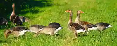 이사 후 수도요금 정산 꿀팁 알아보자