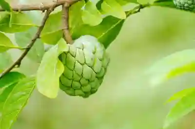 차량 소음 완화하는 4가지 꿀팁과 갤럭시 애플 기기 연결하는 방법 알아보자