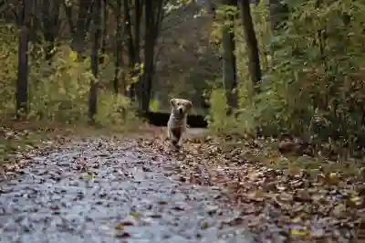 카카오페이 비밀번호 찾기 시 유의사항과 꿀팁 알아보자