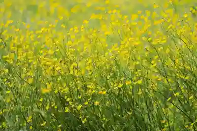 티빙 고객센터 빠르게 연결하는 꿀팁 알아보자