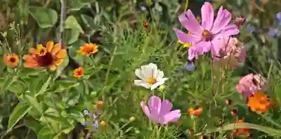 티빙 해지 후 재가입 시 알아보자 할인 혜택과 무료 체험 조건