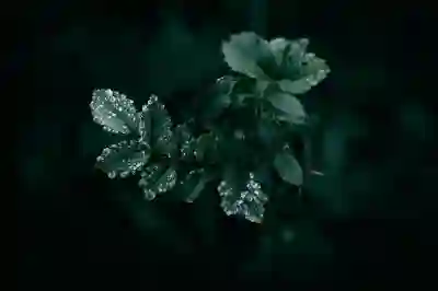 한게임 계정 삭제 후 재가입하는 방법과 꿀팁 알아보자