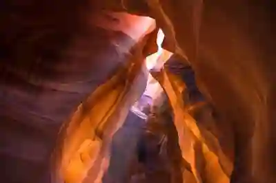 9월 미국 금리인하 기대와 2025년 미국 대선에 대한 시장 전망