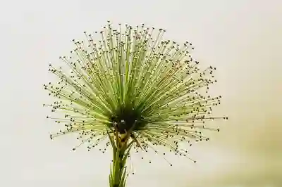 나주에서 일자리 찾기: 나주시청 일자리센터와 알바몬 이용 가이드