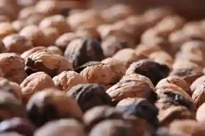 다이어트 성공! 칼로커트와 가르시니아의 조합