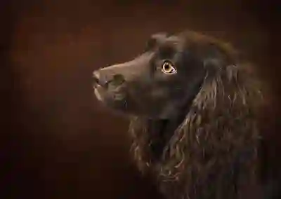 성장 호르몬 주사 비용 및 부작용