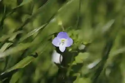 성장주사, 이걸 놓치면 안 된다!