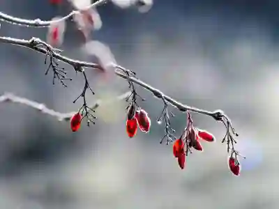 쉽게 알아보는 우리은행 참군인 대출의 상환내용