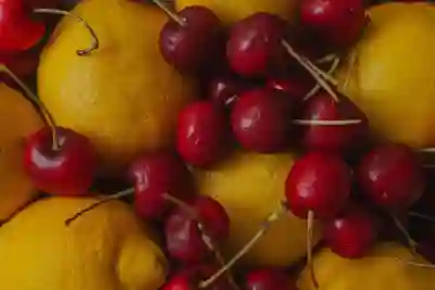 칼로커트, 가격에 따른 다이어트 효과