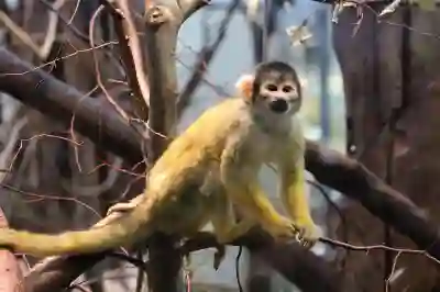 토스 소액대출 신청 절차와 조건 완벽 정리하기