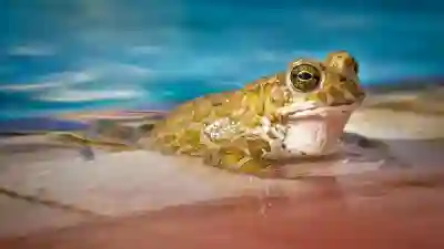 강남 눈밑 지방 재배치 시술 비용과 후기 살펴보기