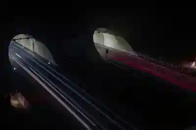 락티움의 스트레스 완화 효과와 안전성을 알아보자