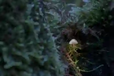 발톱 무좀 치료 기간 알아보기