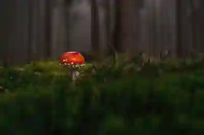 발톱무좀 레이저 치료 효과와 후기를 알아보자