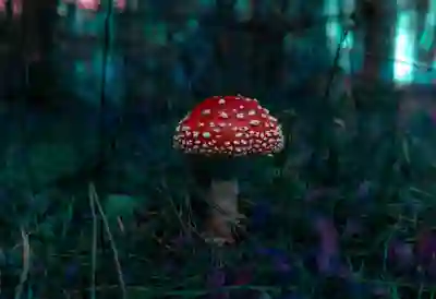 발톱무좀이 발생하는 이유와 관리 전략 알아보자