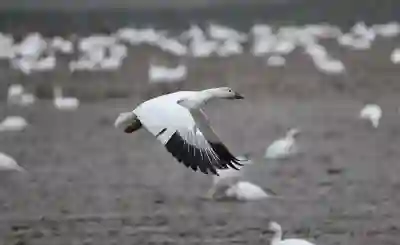 부산 이사청소 가격과 서비스 알아보자
