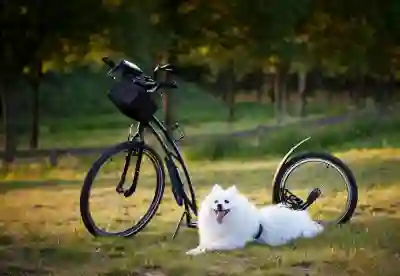 새 집에서 깨끗한 생활을 위한 입주청소 필수 체크리스트 알아보자