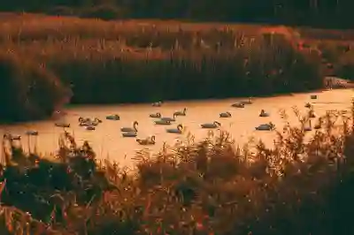 서초구 입주청소와 도배 순서 알아보자