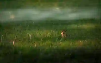 송도에서의 입주청소 만족도를 높이는 3가지 팁