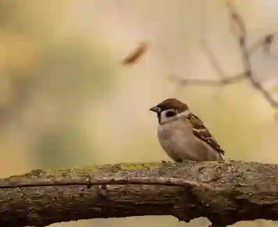 쉬운 입주청소 예약 방법 알아보자